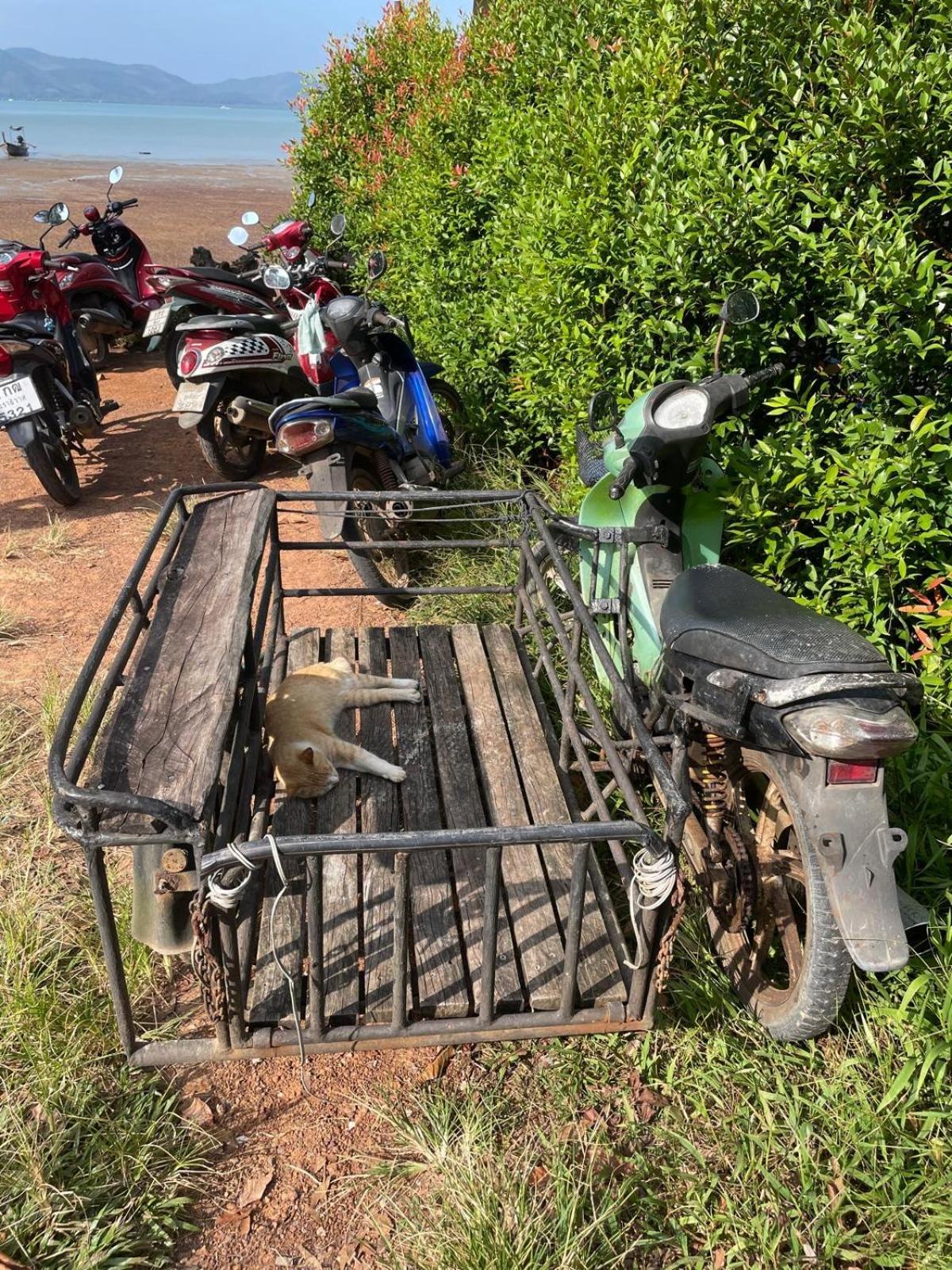 Thanid House Ban Nai Khlong エクステリア 写真